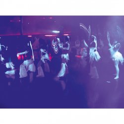 ADJ ECO UV Bar DMX ADJ ECO UV Bar DMX