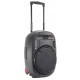 Ibiza PORT15UHF-MKII 2MIC BT-FM-MP3