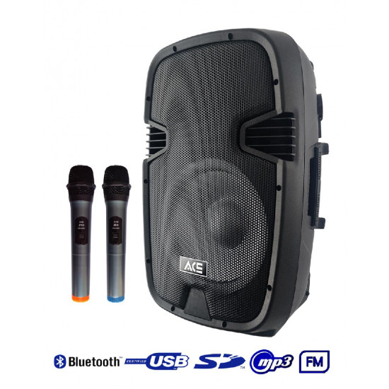 ACE PAQ 12AB MP3-FM-Bluetooth ACE PAQ 12AB MP3-FM-Bluetooth