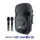 ACE PAQ 12AB MP3-FM-Bluetooth ACE PAQ 12AB MP3-FM-Bluetooth