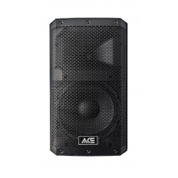 ACE PBN-12 pasívna reprosústava