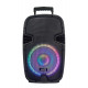 ACE PAQ 12AB MP3-FM-Bluetooth ACE PAQ 12AB MP3-FM-Bluetooth