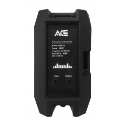 ACE PBN-12 pasívna reprosústava