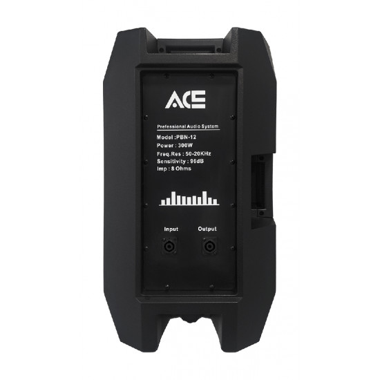 ACE PBN-12 pasívna reprosústava