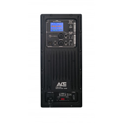ACE PCS-12DT D-Class