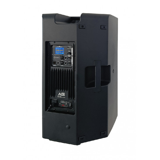 ACE PCS-12DT D-Class